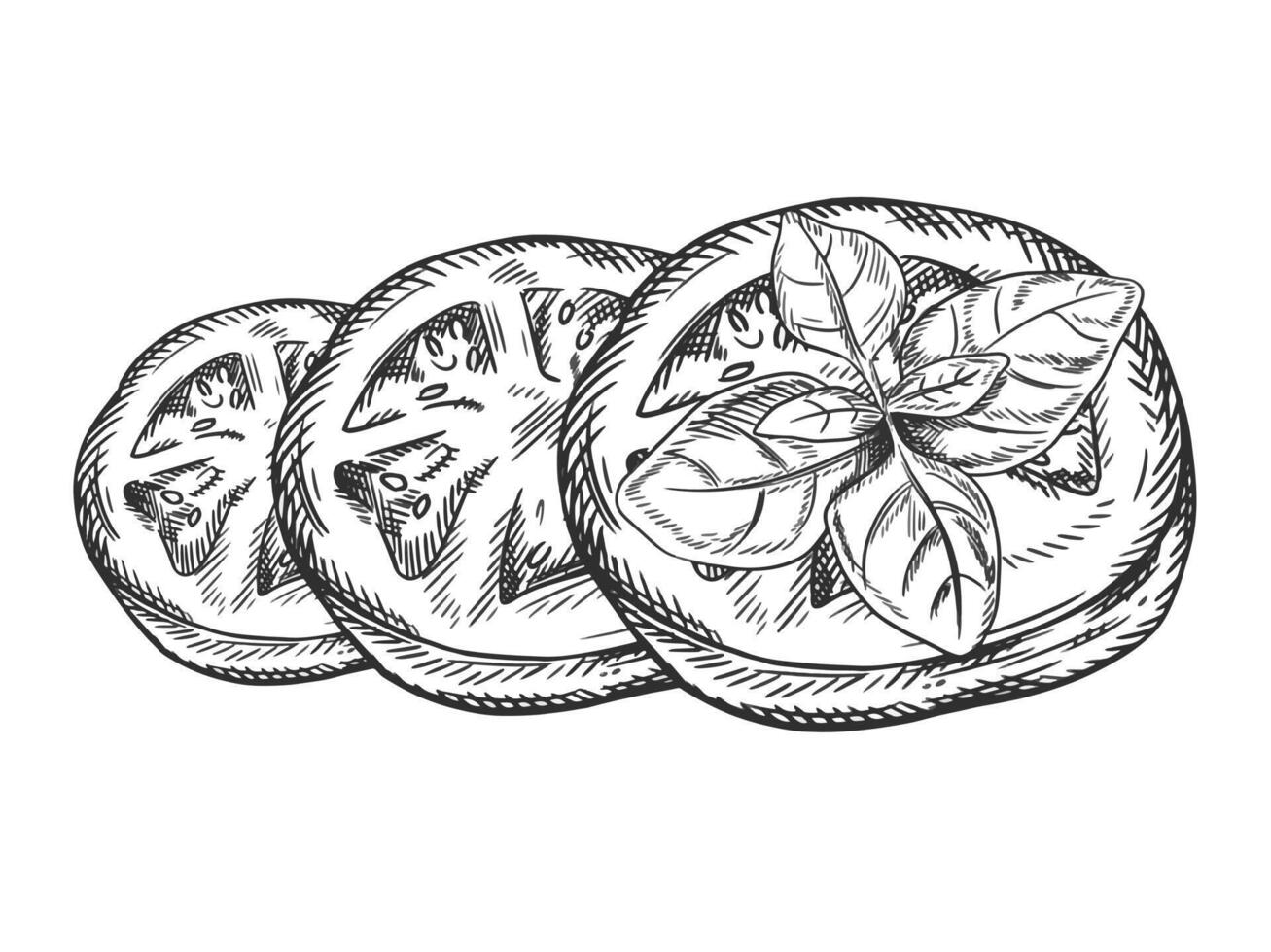 illustration of a slice of tomato. Organic vegetables, healthy harvest. Ingredients for cooking, farm products. Hand-drawn in linear, drawn in black ink on an isolated background vector