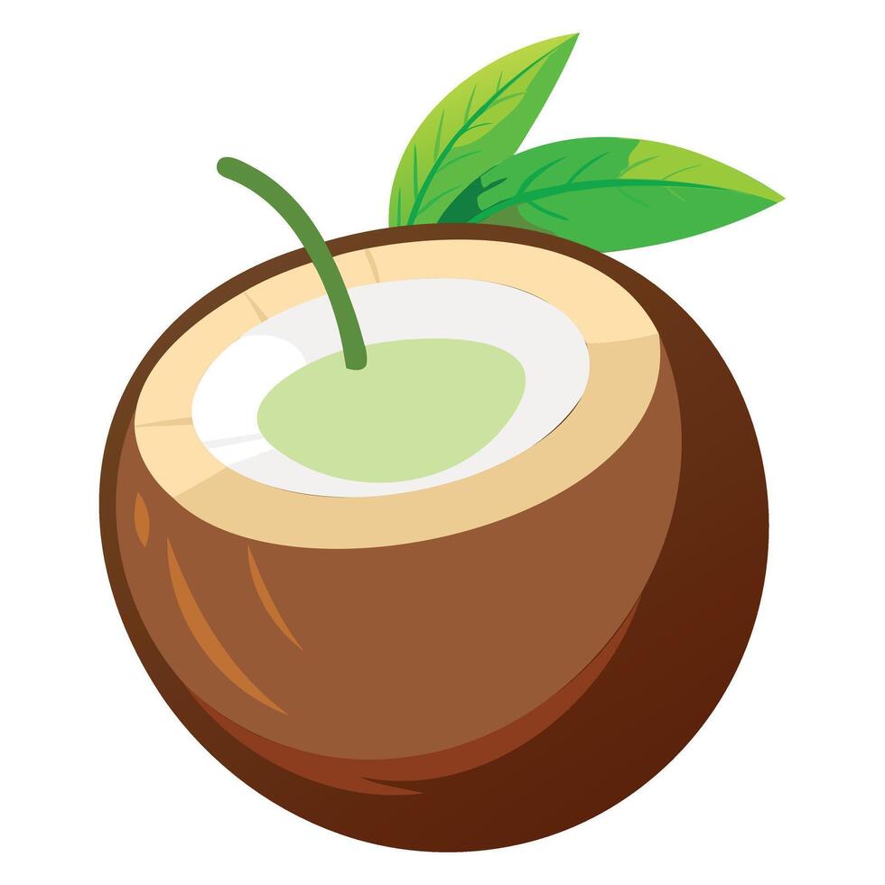 Minimal Coconut Art - Stylish and Simple vector
