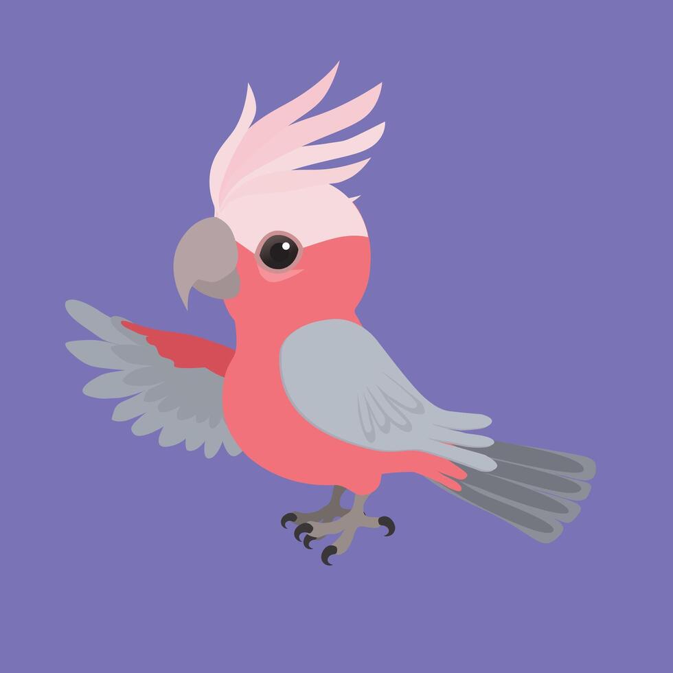 An illustration of a cute galah cockatoo holding up a wing vector