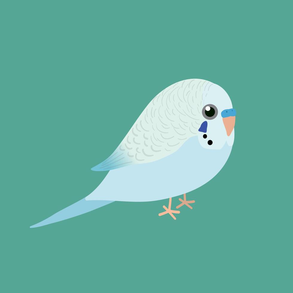 An illustration af a very cute light blue budgie. It is a male bird. vector