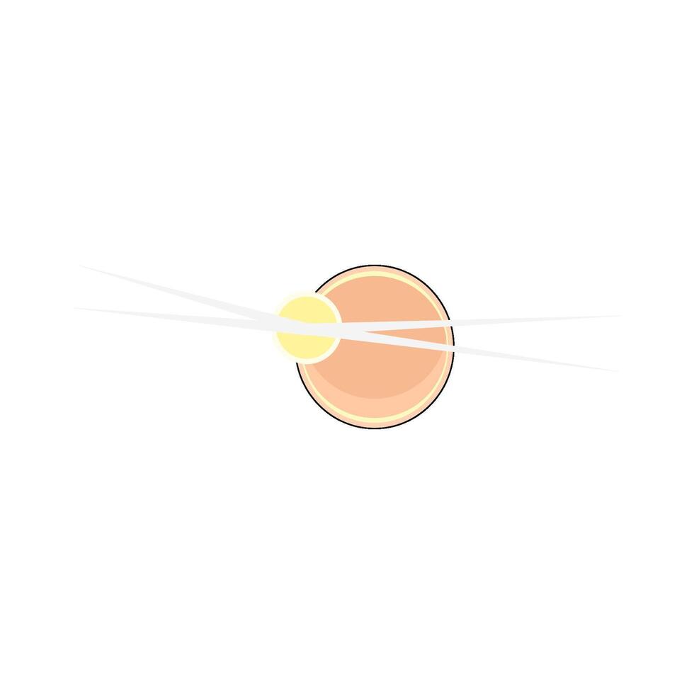illustration of Solar Eclipse vector