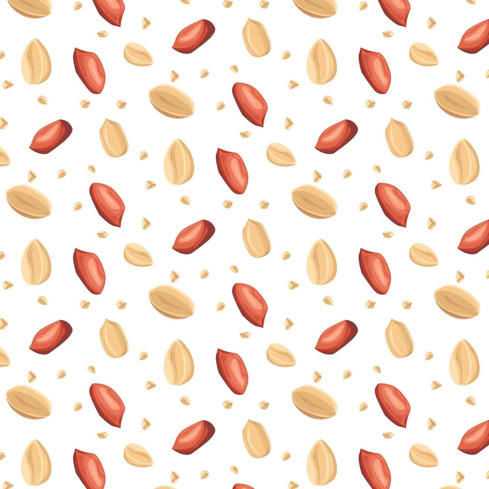 Peanuts. For design projects, food packaging, advertising, or creating educational material vector