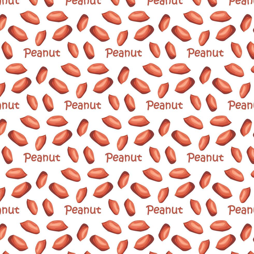 Peanuts in shell. For design projects, food packaging, advertising, or creating educational material vector