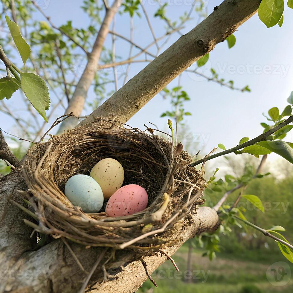 A bird s nest with three pastel-colored eggs inside photo
