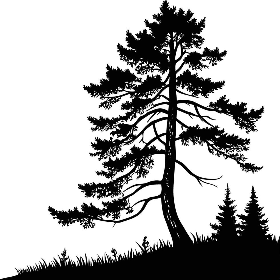 Black and White Silhouette of Towering Pine Tree in Forest Landscape vector