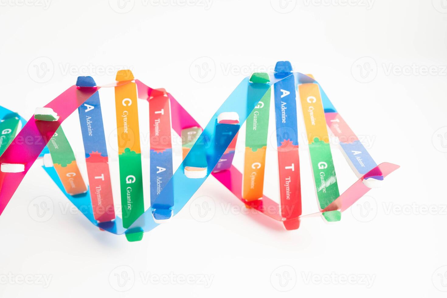 DNA molecule spiral structure model isolated on white background, chromosome and gene chemical photo