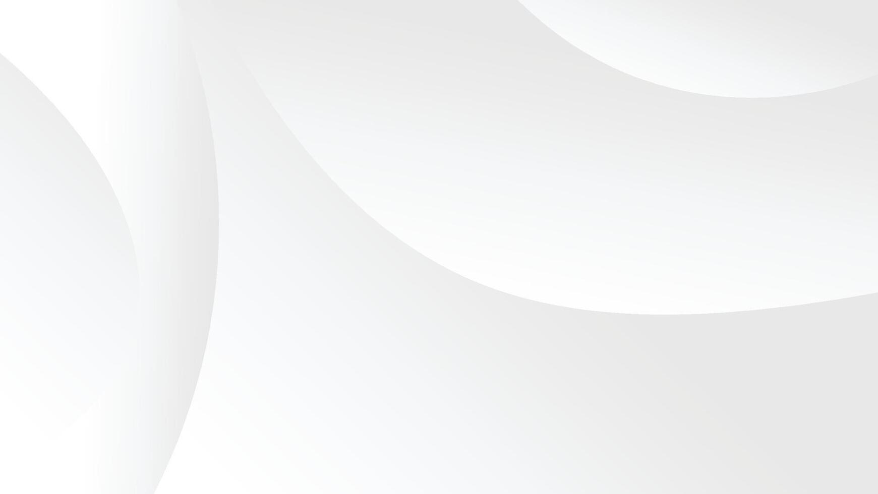 abstract white modern gradient color background with graphic lines decoration vector