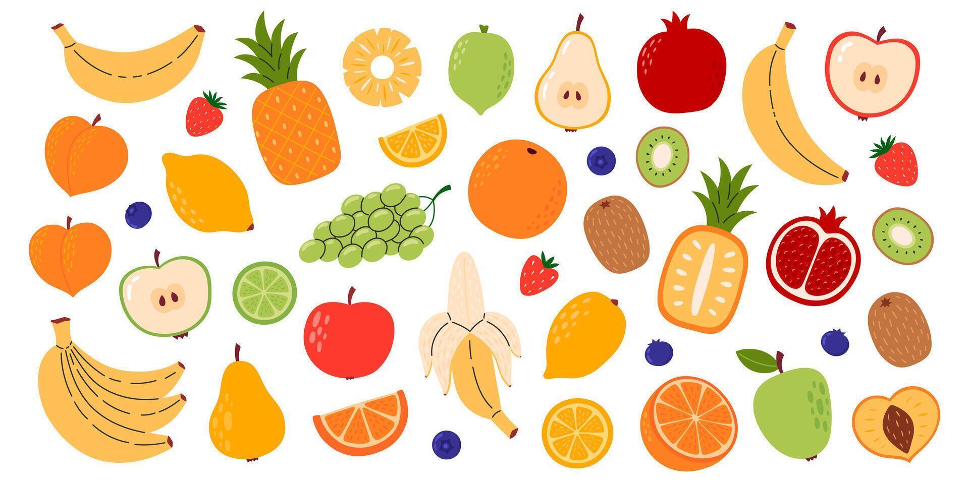 Set of different fruits and berries. Collection of organic vitamins and healthy nutrition. Banana, pineapple, mango, pomegranate, kiwi, melon, peach, watermelon. Flat illustration vector