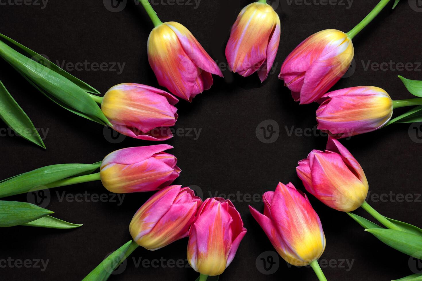 Circle frame of pink tulips on black background. Minimal beauty spring composition. Flat lay, top view. photo