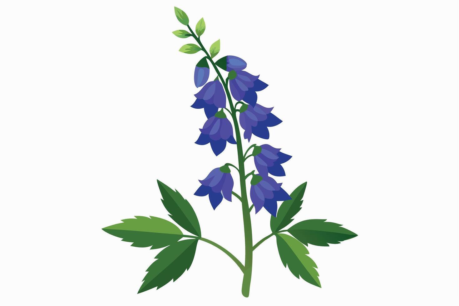 Vibrant purple bellflower plant illustration. vector