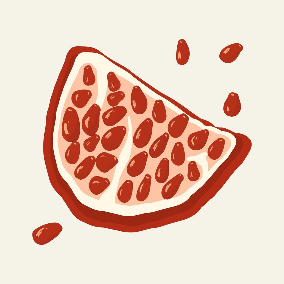A piece of pomegranate with pits. A hand-drawn illustration. Bright ripe pomegranate fruit for culinary prints, textiles and logos. vector