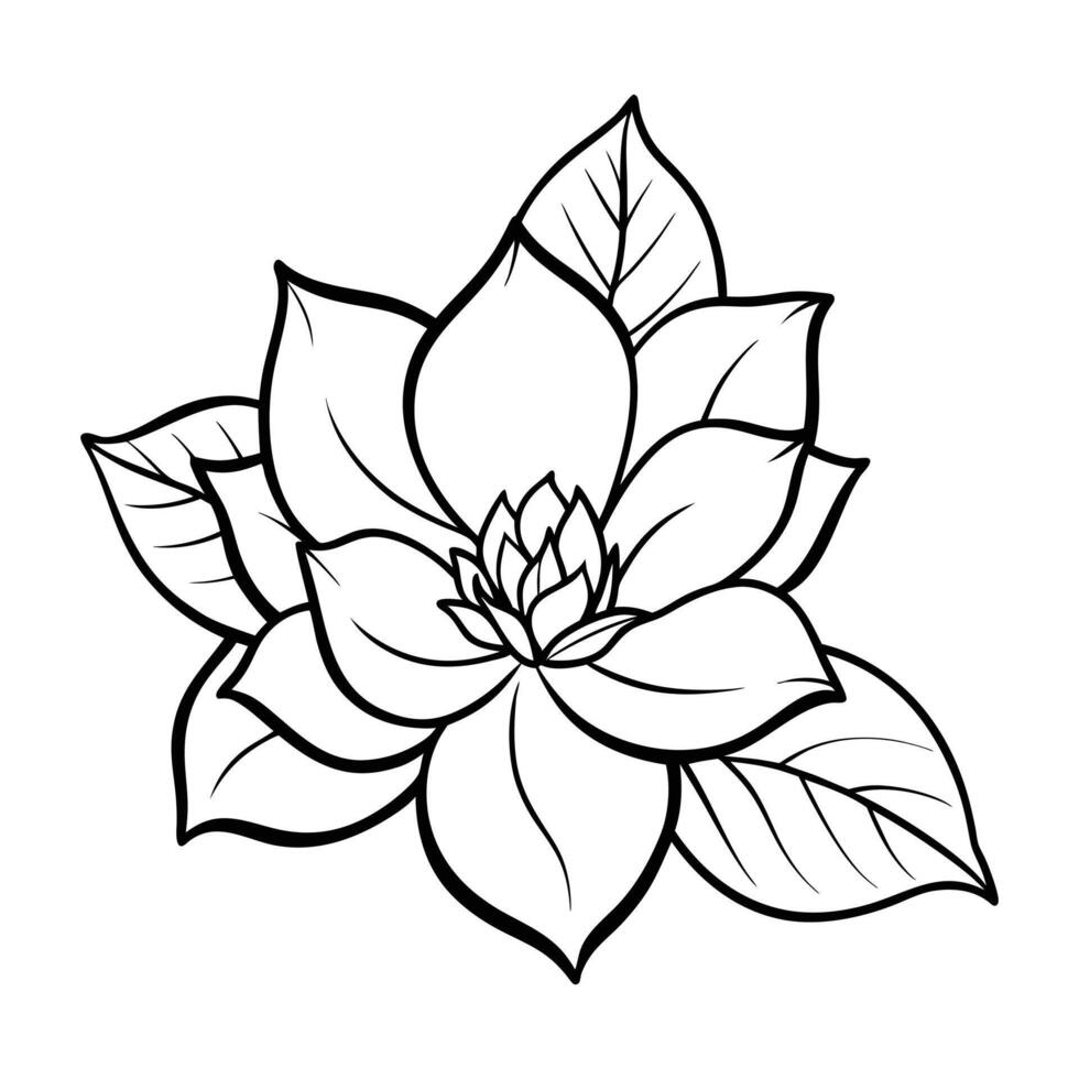 magnolia floral edge line art vector