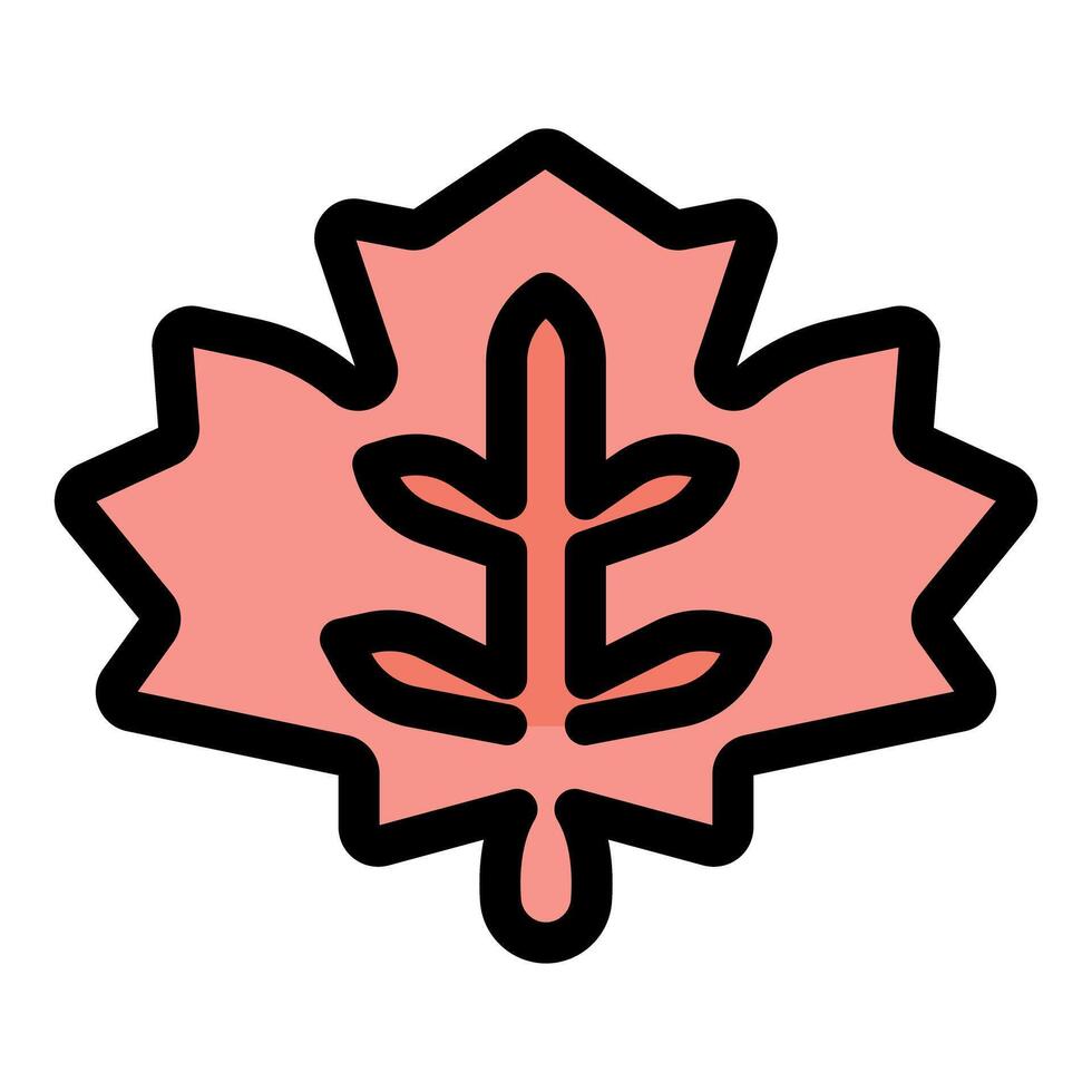 Stylized pink maple leaf with bold outline vector