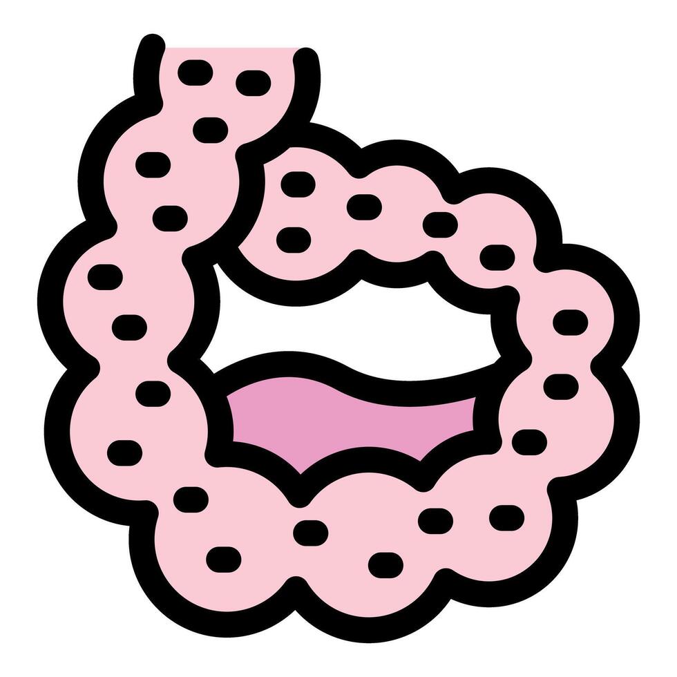Small intestine showing digestive process with villi absorbing nutrients vector