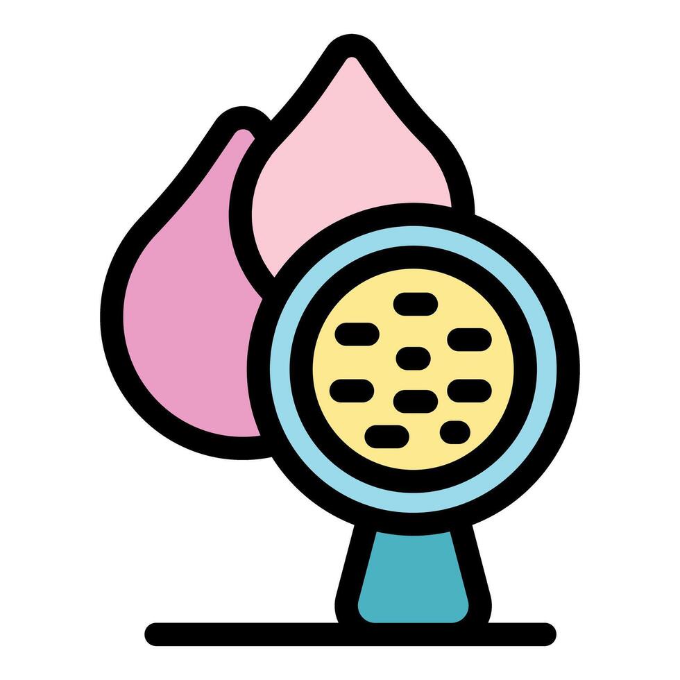 Lotus flower showing petals and seeds inside seedpod vector
