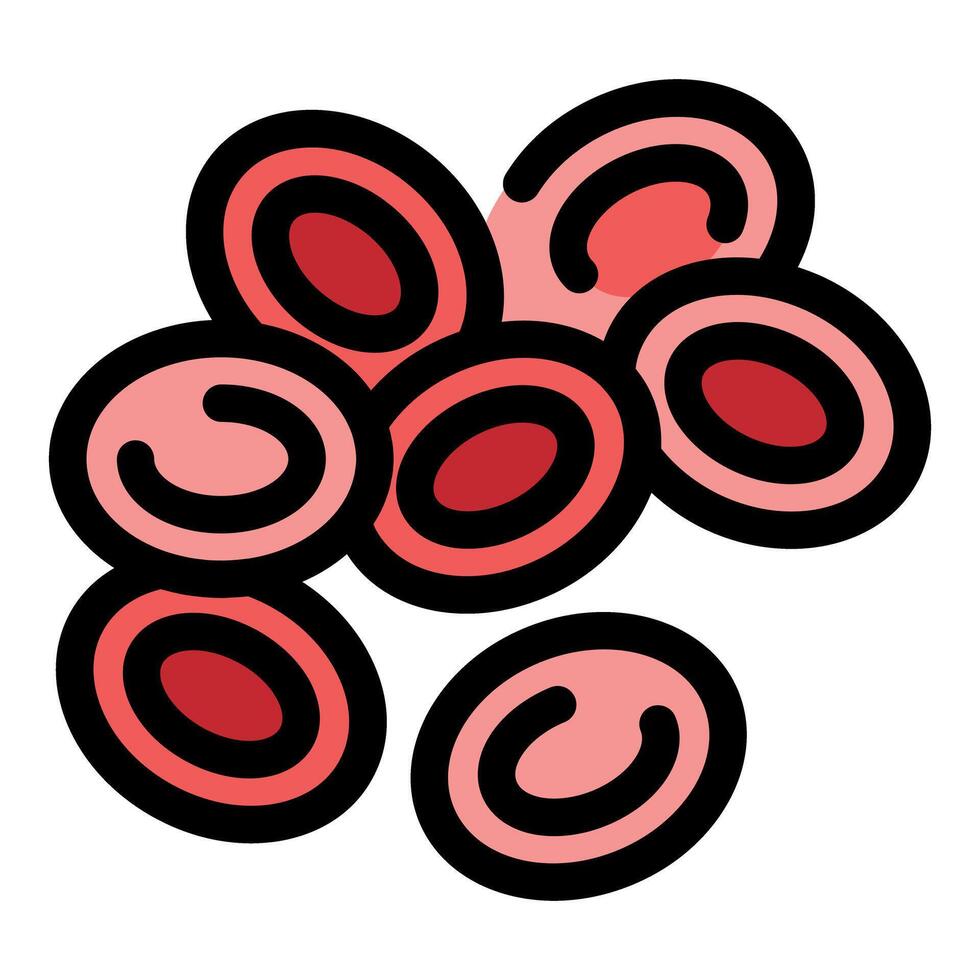 Red blood cells flowing through veins and arteries representing human circulation vector