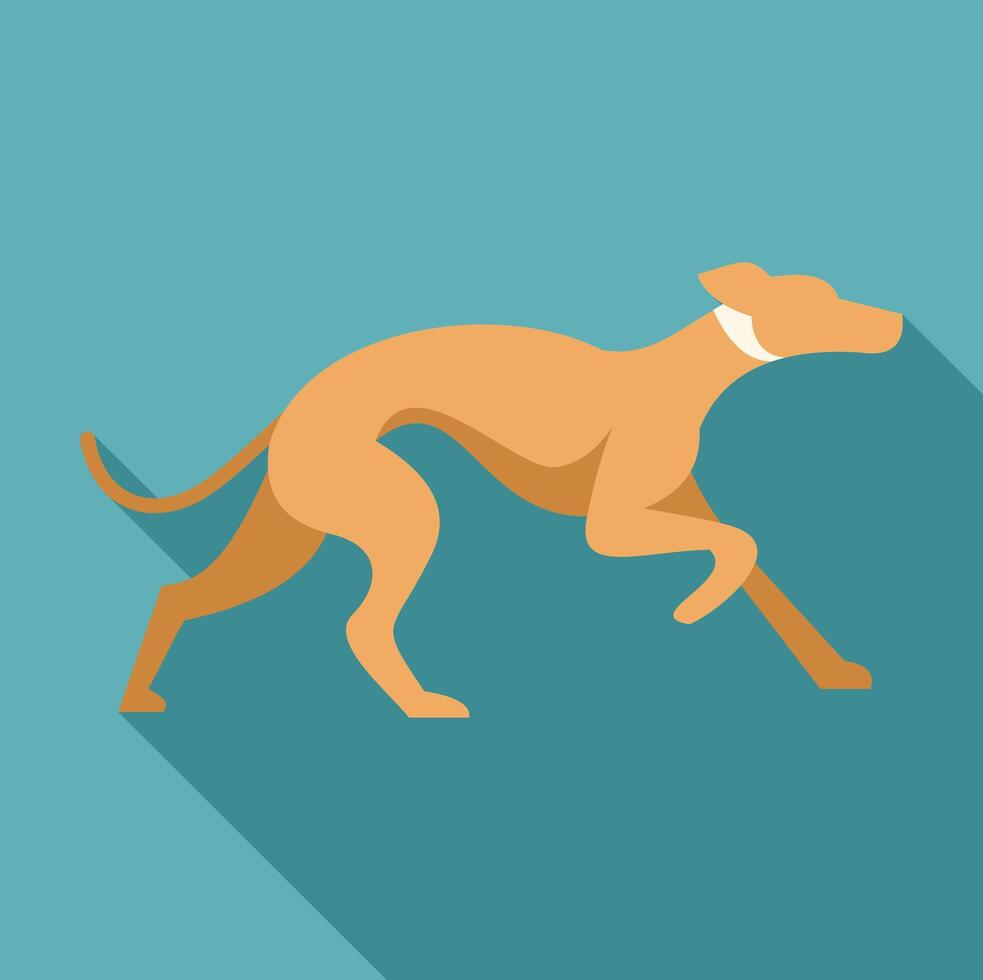 Greyhound running with long shadow on turquoise background vector