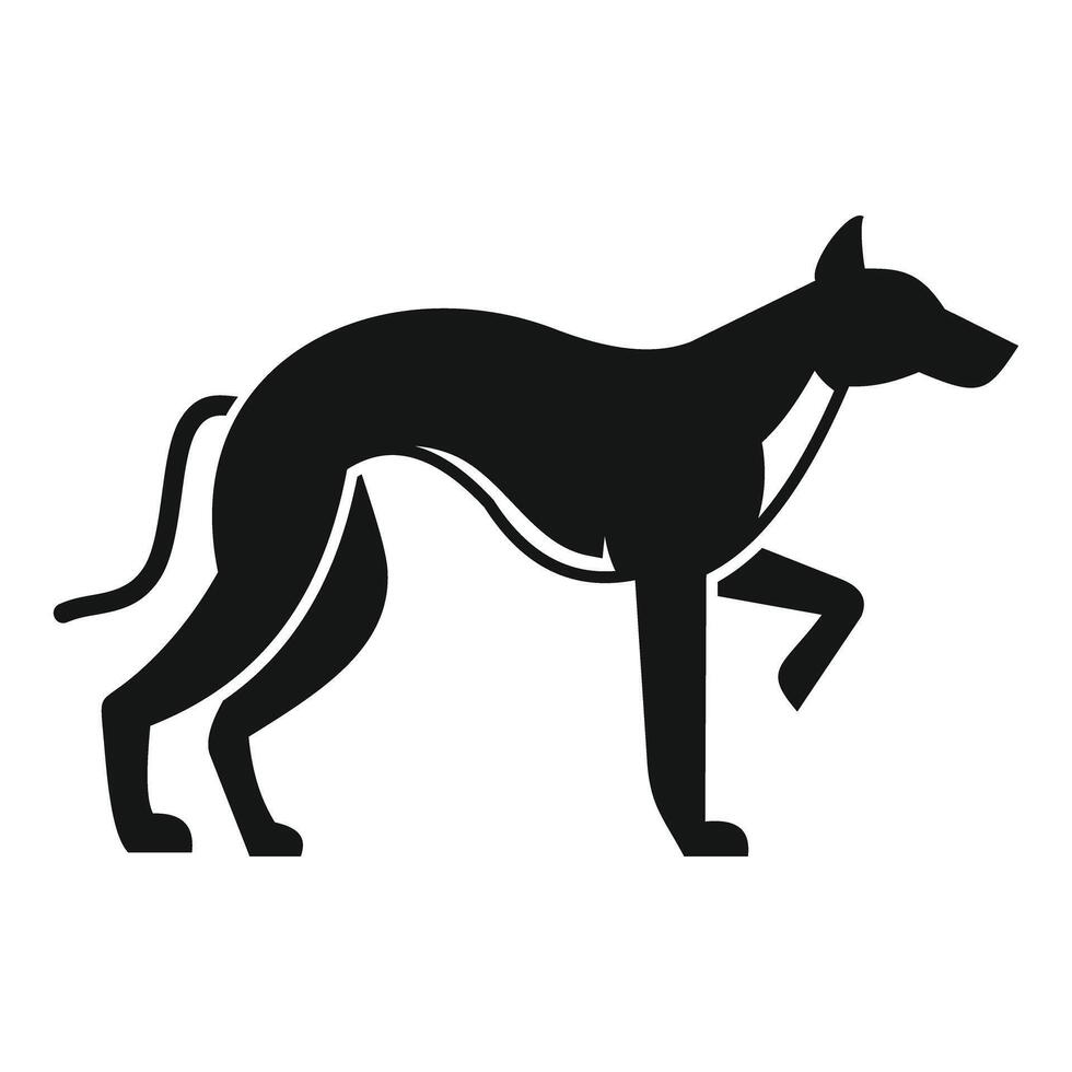 Greyhound dog walking slowly and carefully raising one paw vector