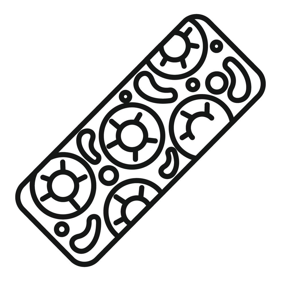 Bacteria and viruses floating on petri dish surface, growing microorganisms colony vector