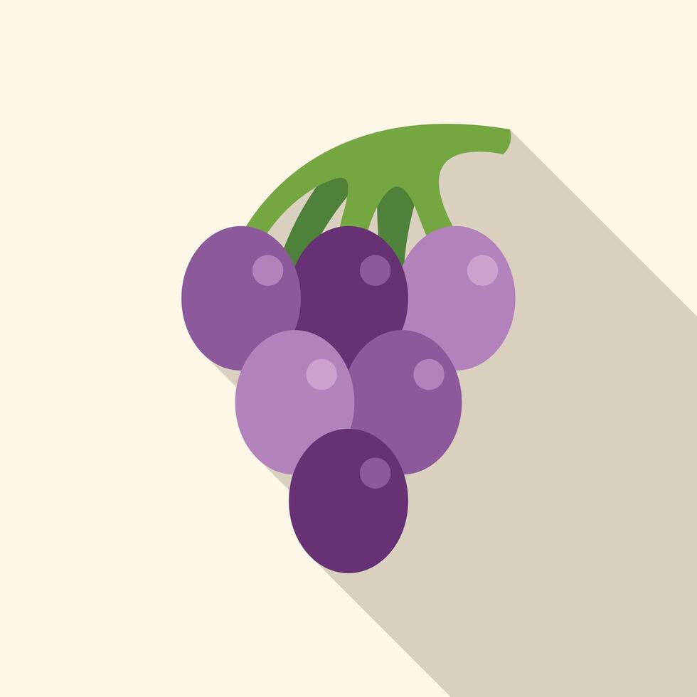 Bunch of fresh grapes hanging from vine in minimalist style vector