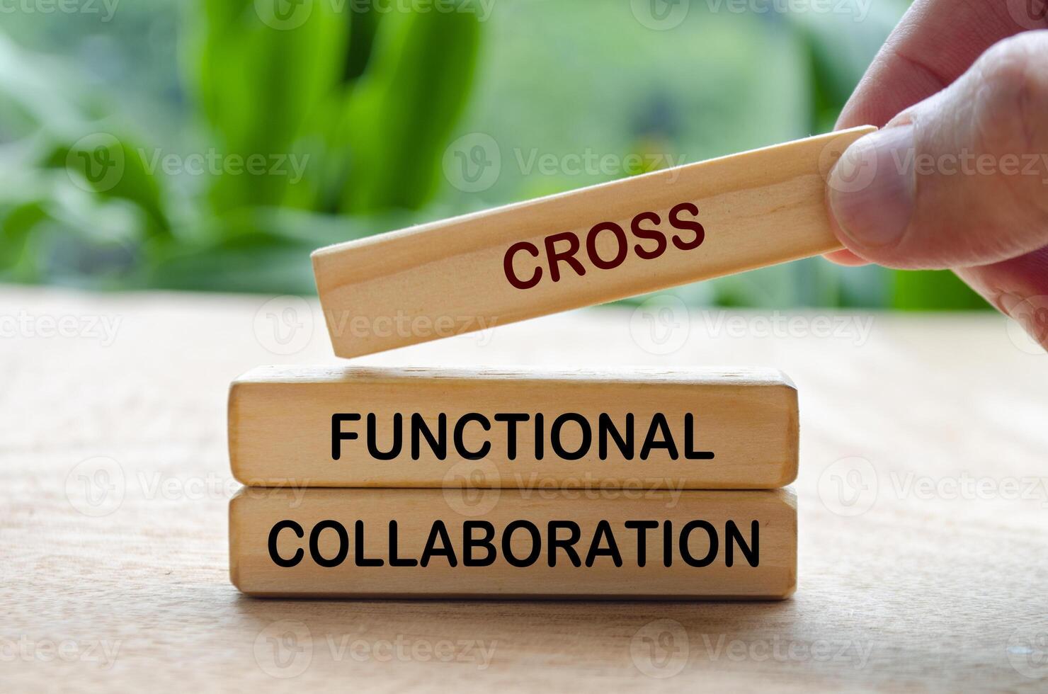 Cross Functional Collaboration text on wooden blocks. Business concept photo