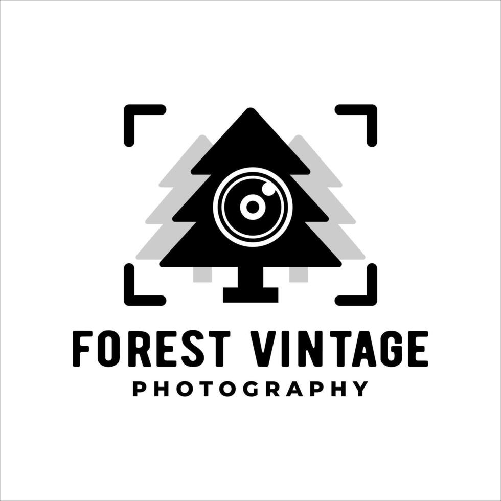 illustration of a pine tree with a camera frame. forest vintage logo template. vector