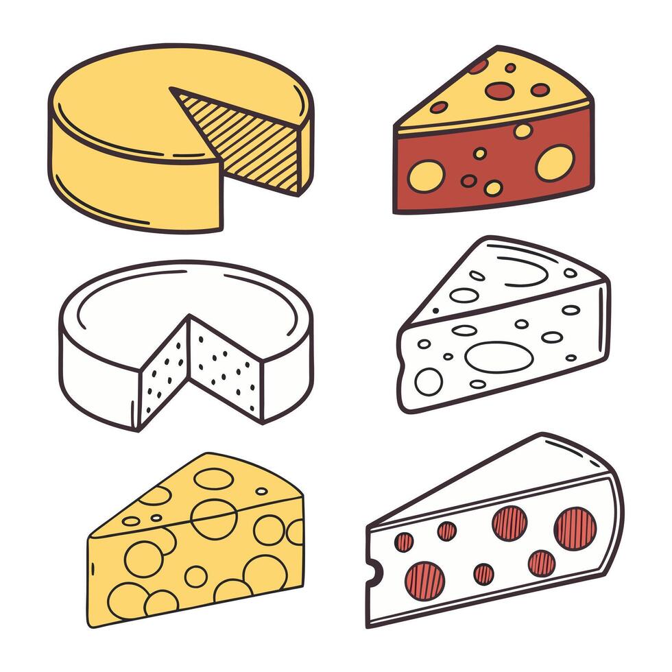 Cheeses Slices of Set isolated vector
