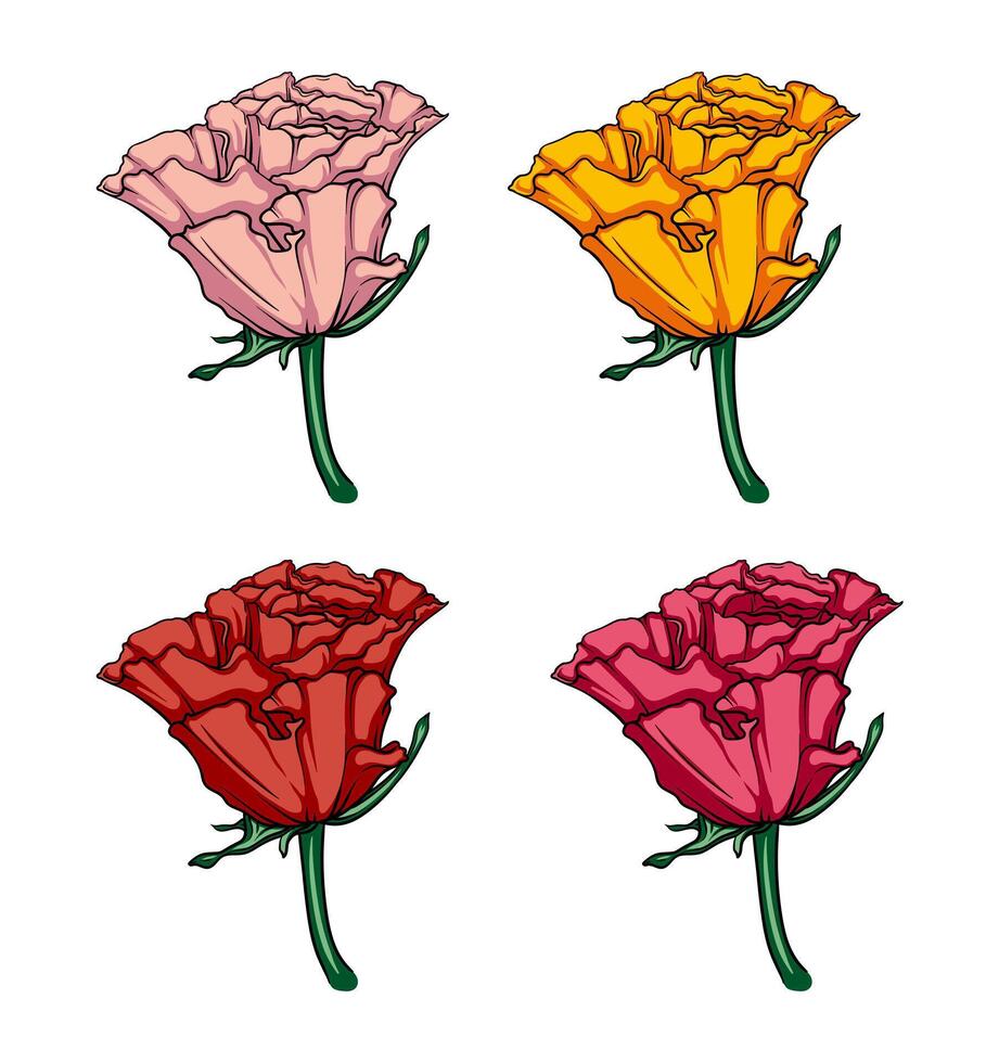 collection of half-opened multi-colored rose buds, set of a rose flower in a minimalist style, hand drawn illustration for creative projects or logo vector