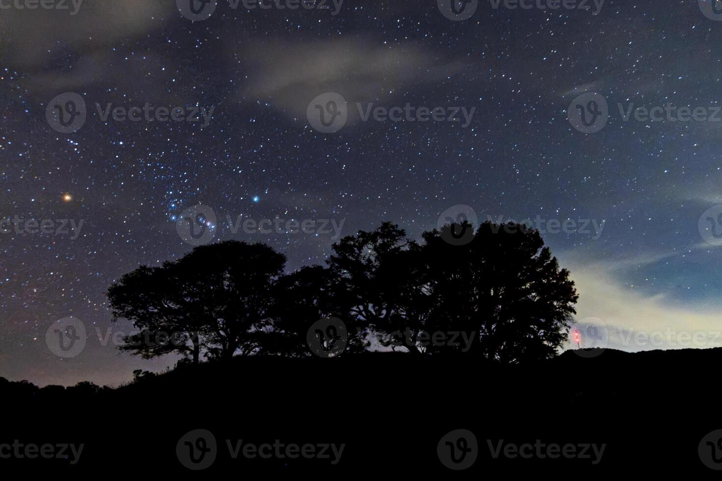 Night sky filled with stars over silhouettes of trees in a serene landscape photo