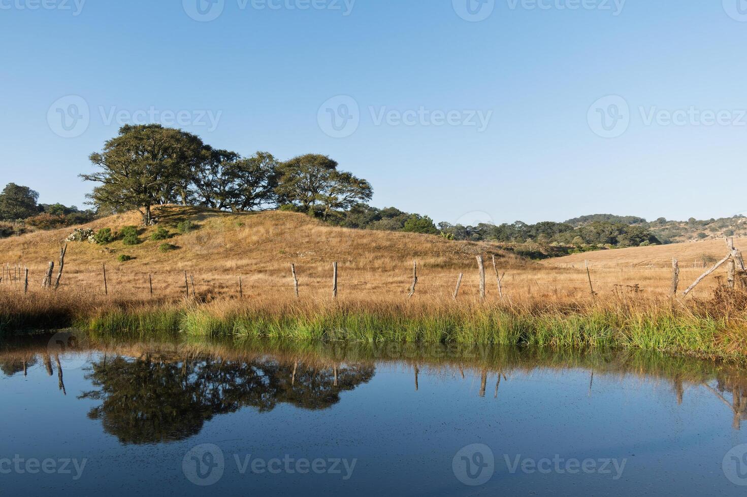 Serene landscape with calm water reflecting trees and hills in the distance photo
