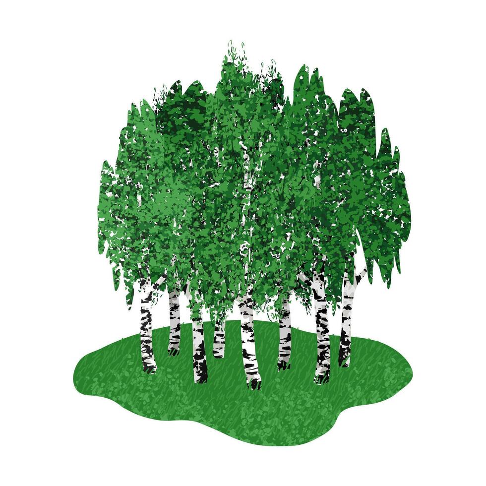 Colorful Illustration of Green Birch Grove Isolated on White Background vector