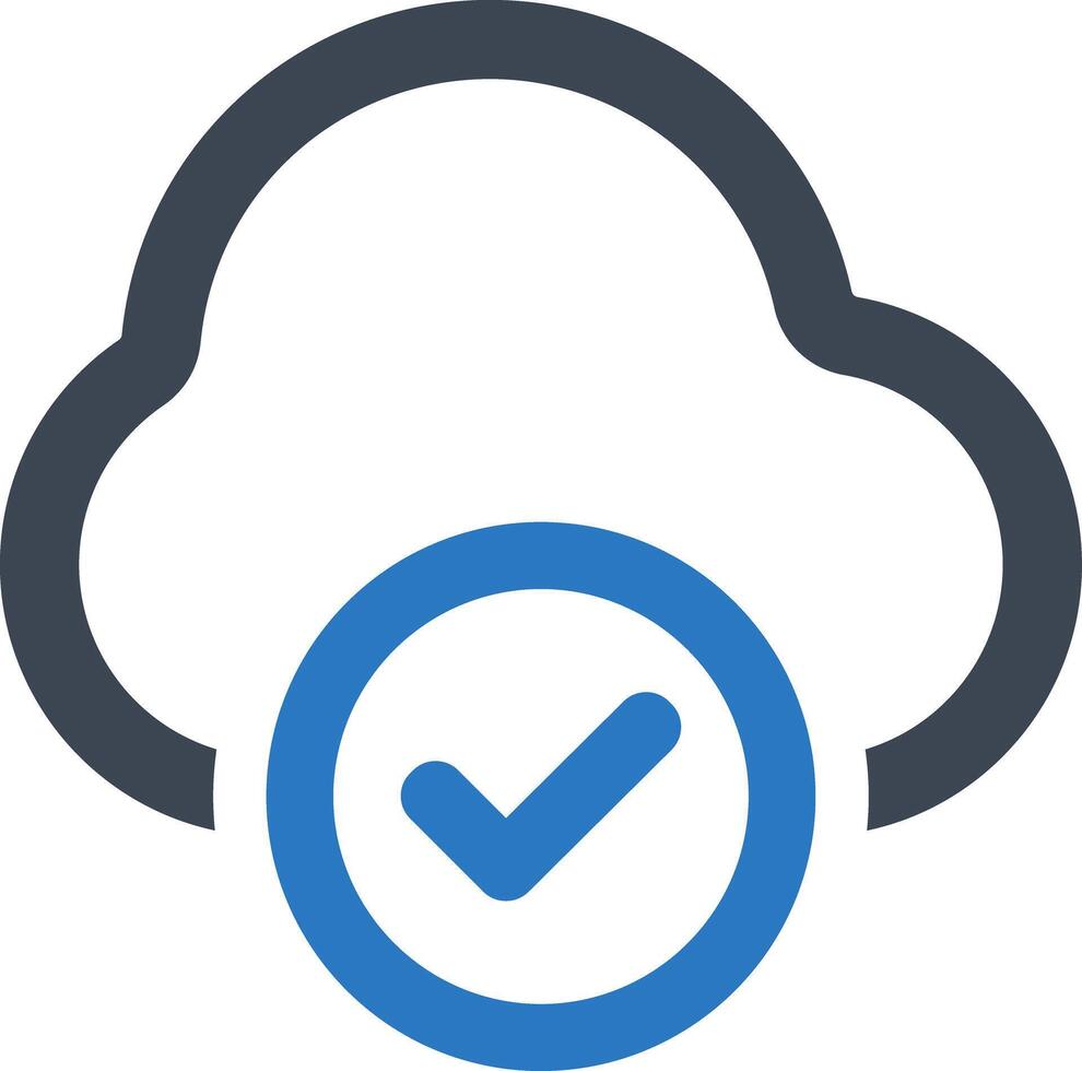 Check data icon vector
