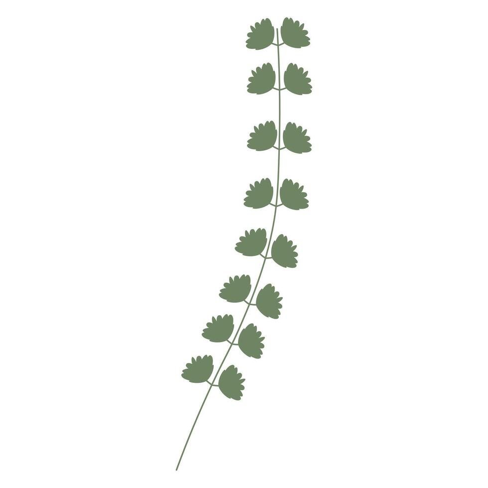 Twig with green leaves. Flat illustration vector