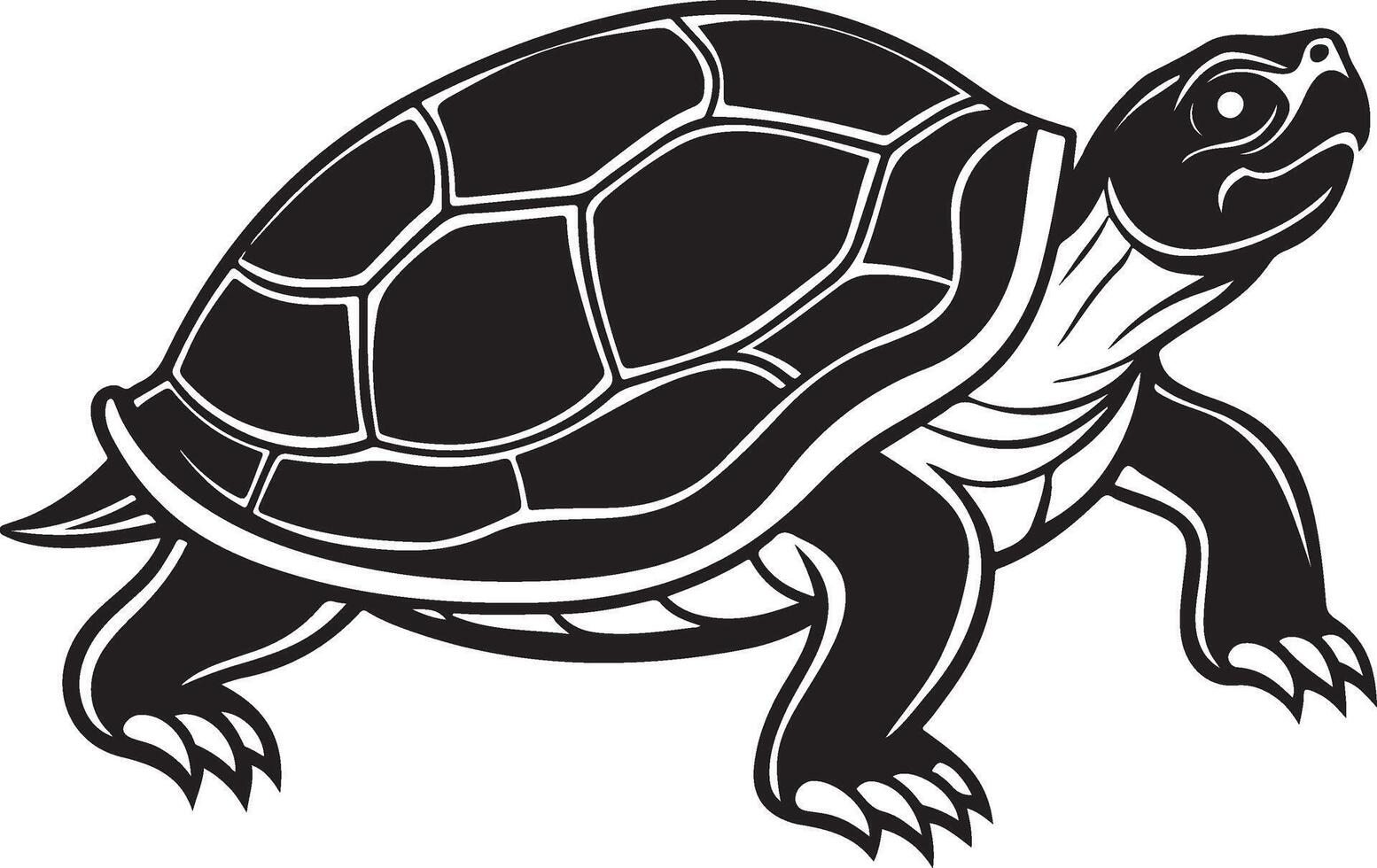 Simple Turtle Sketch Design vector
