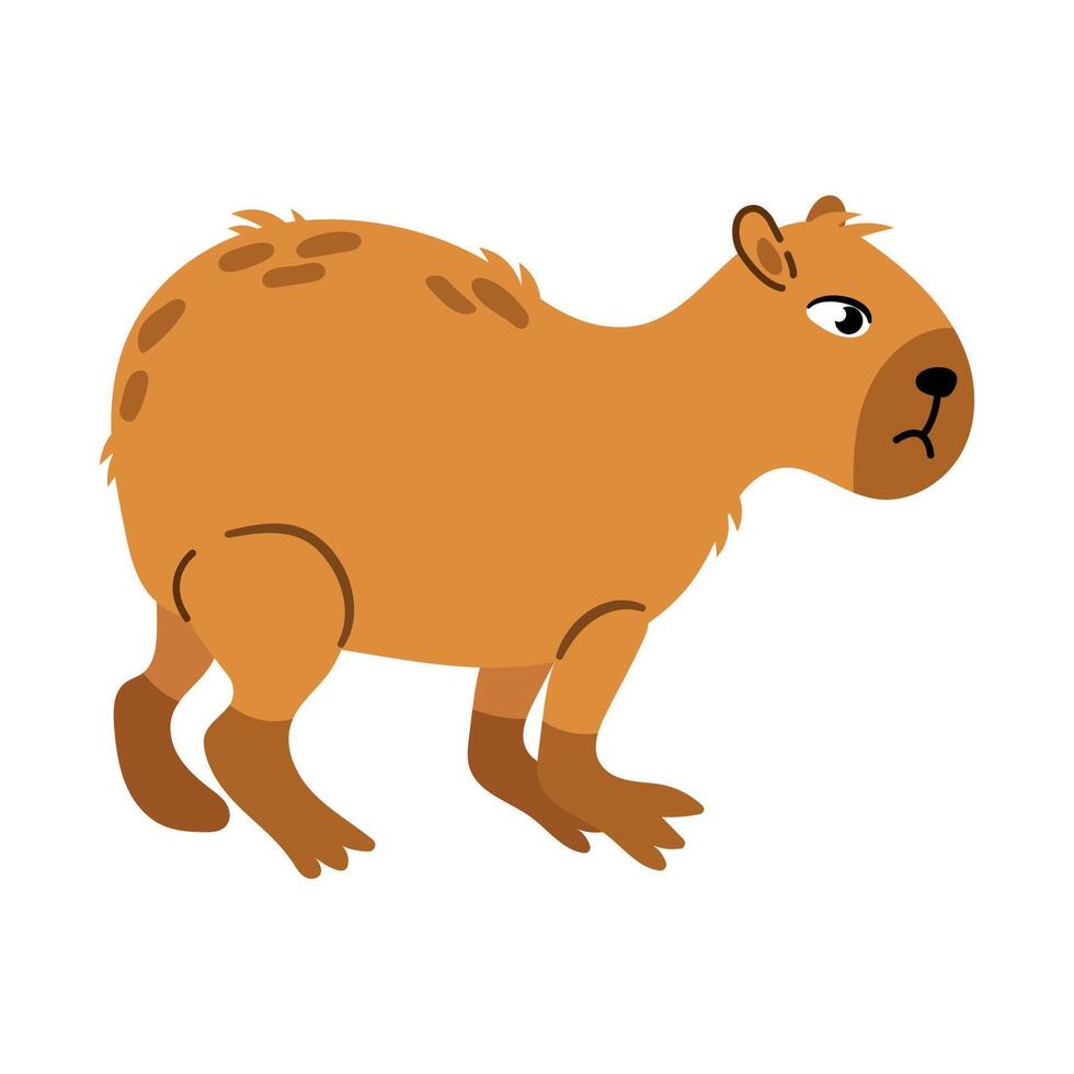 Illustration of a Capybara vector