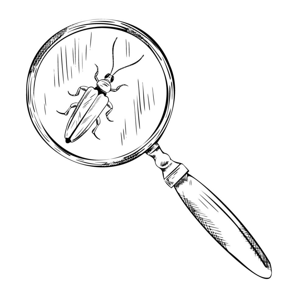 line illustration of magnifying glass with beetle. Hand Engraving drawing of magnifier lens find insect. Monochrome Outline graphics vintage loupe. Entomology icon vector