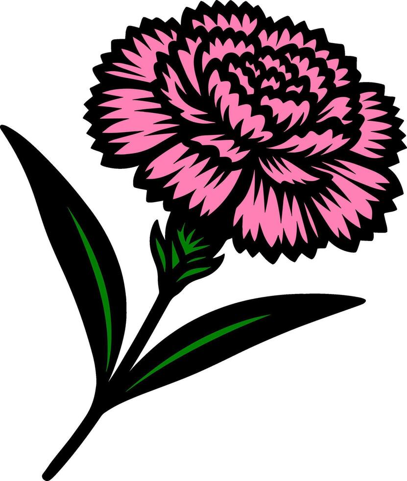 Pink Carnation Floral Illustration vector