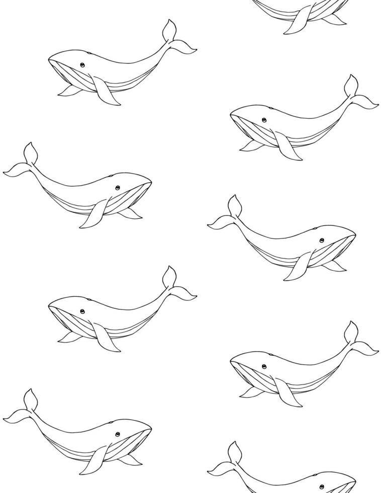 Seamless pattern of hand drawn doodle sketch whale isolated on white background vector