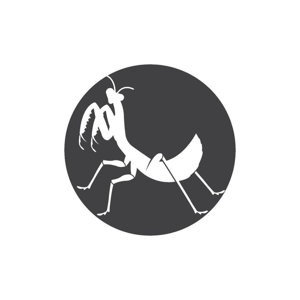 praying mantis icon flat design template vector