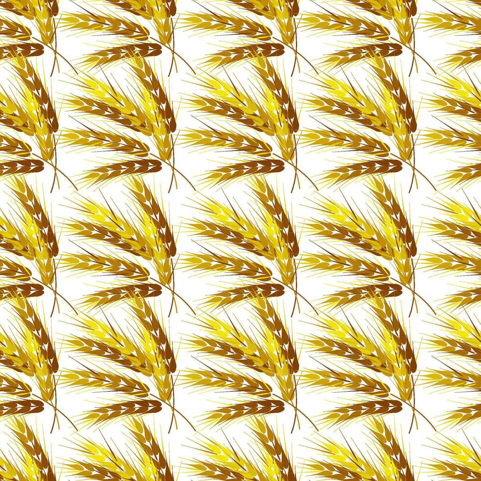 Seamless botanical pattern with ears of wheat vector