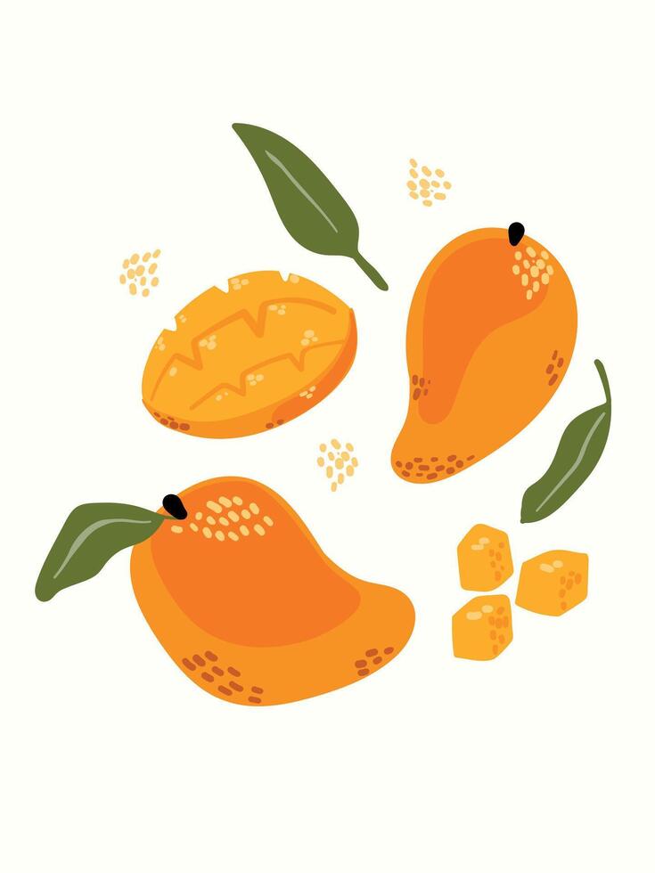 Abstract mango and pieces fruits in modern artistic styles. Great for posters, cards, covers, and trendy t-shirt designs. vector