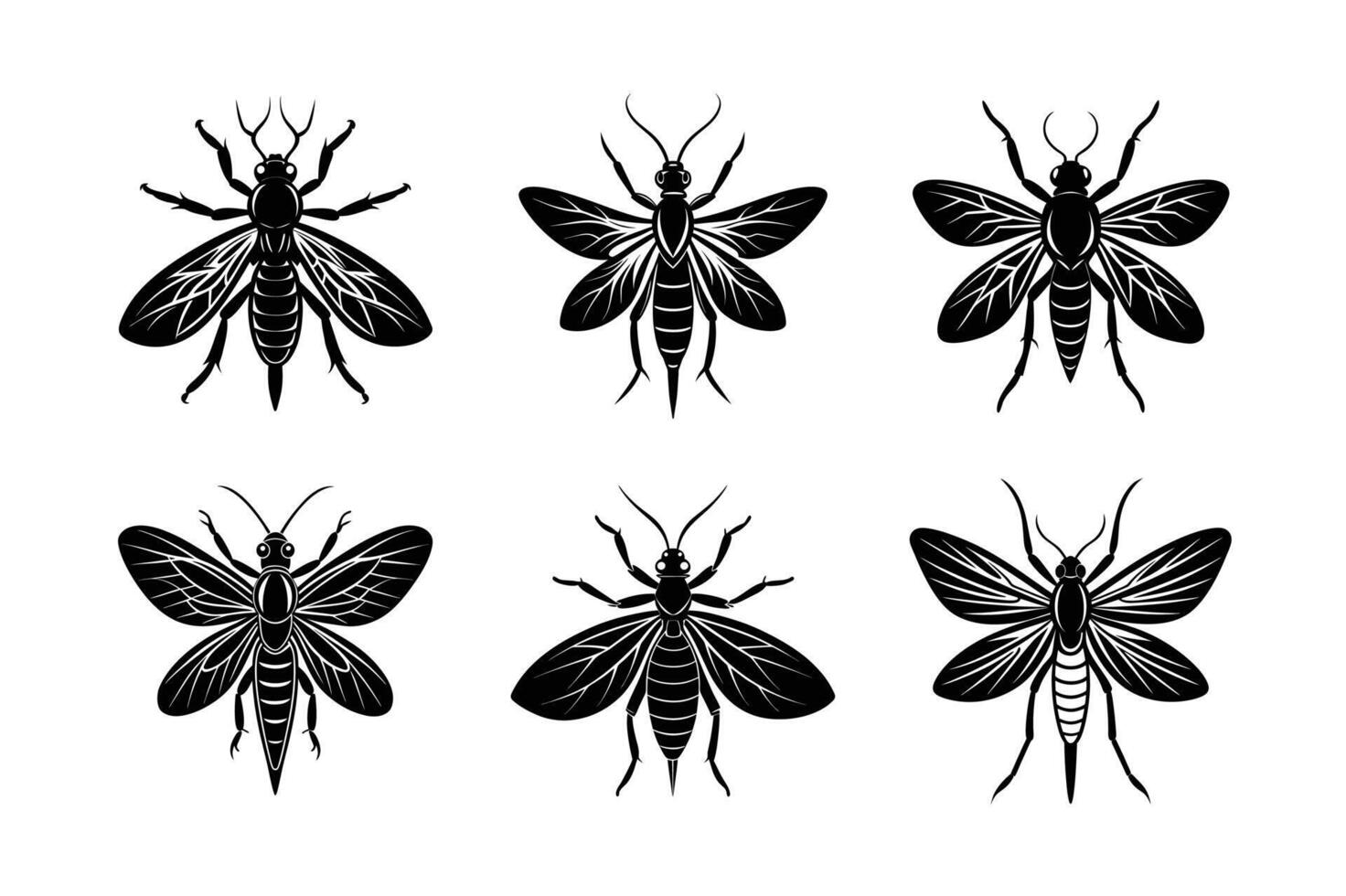 Pterygote silhouette set with white background vector