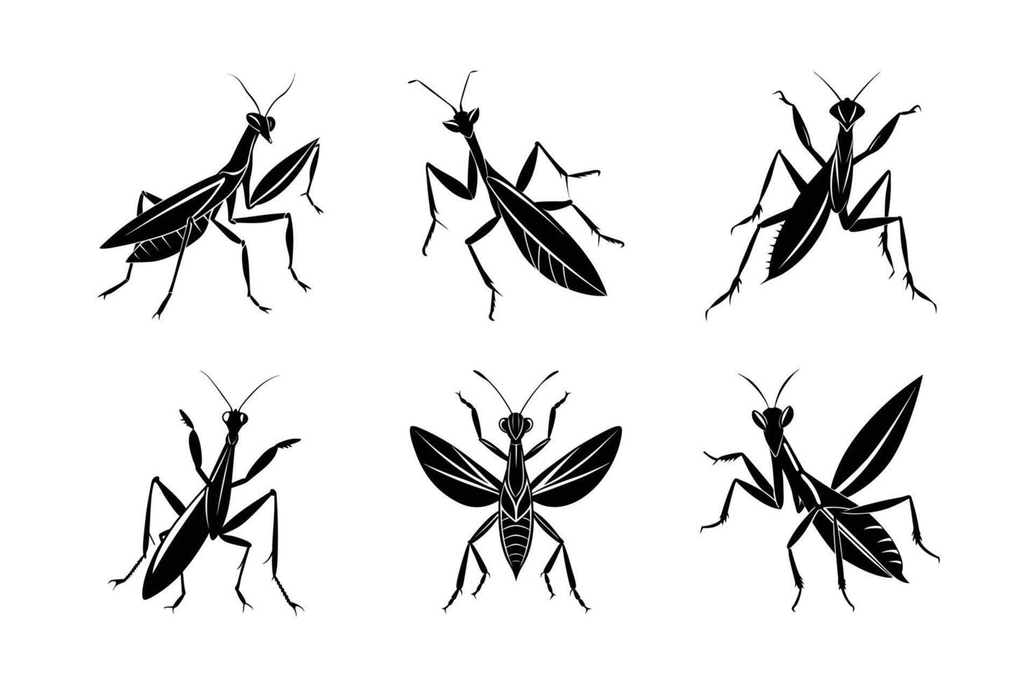 Mantis silhouette set with white background vector