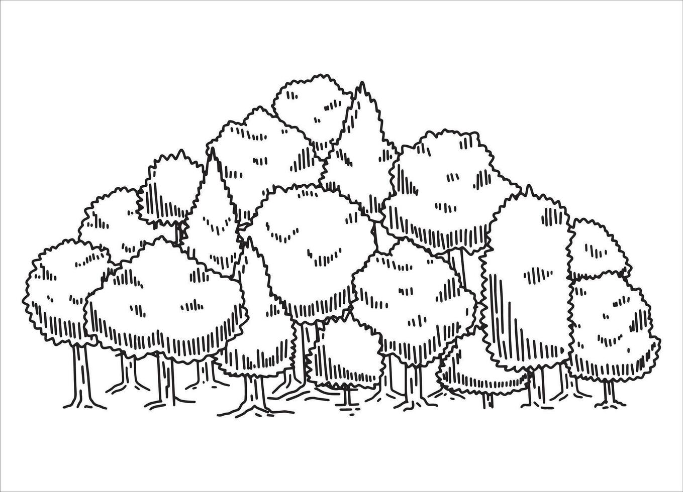 Tree drawing set. Doodle contour oak. Nature plant with leaf. Line forest element. Outdoor environment landscape vector