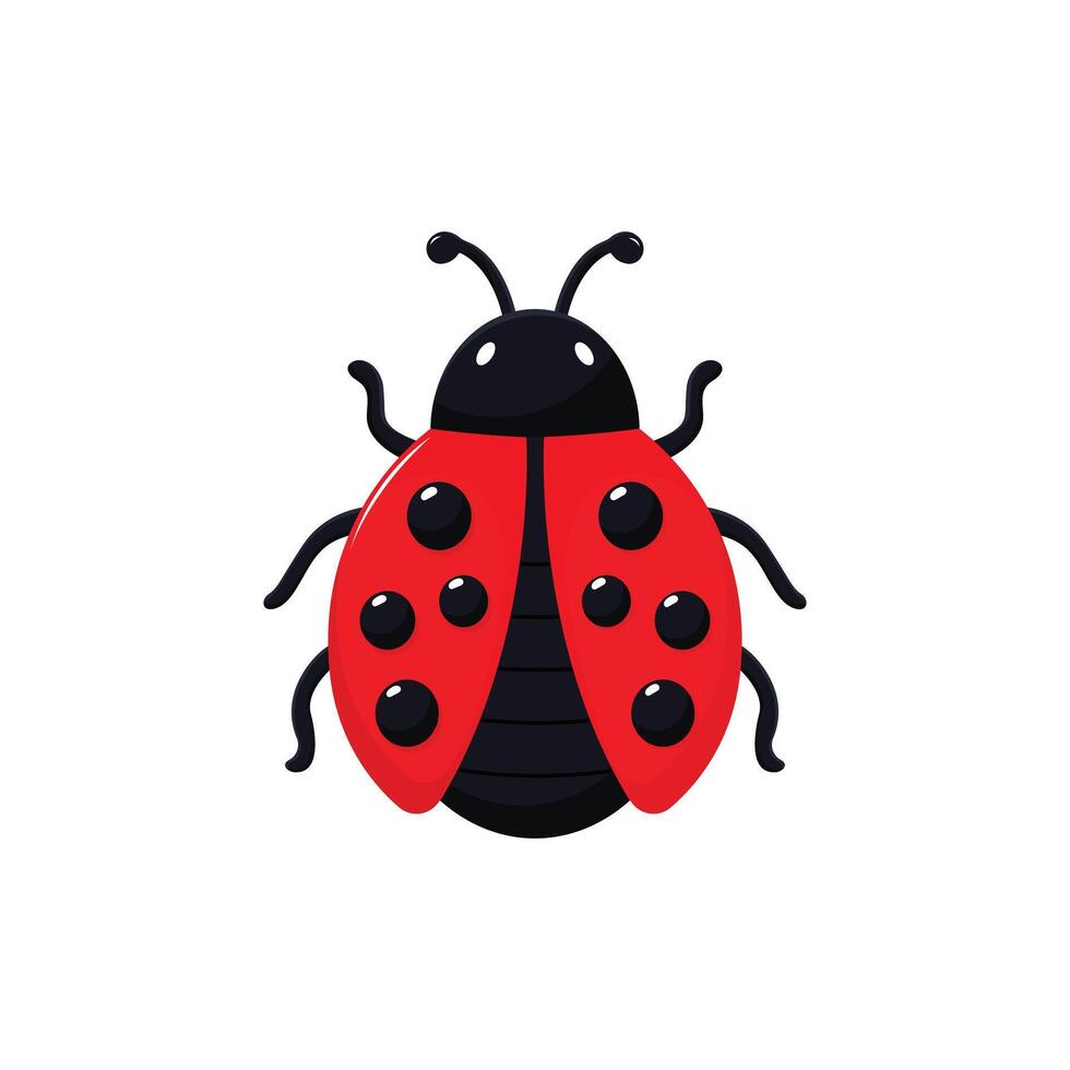 Ladybug flat illustration isolated on white background vector