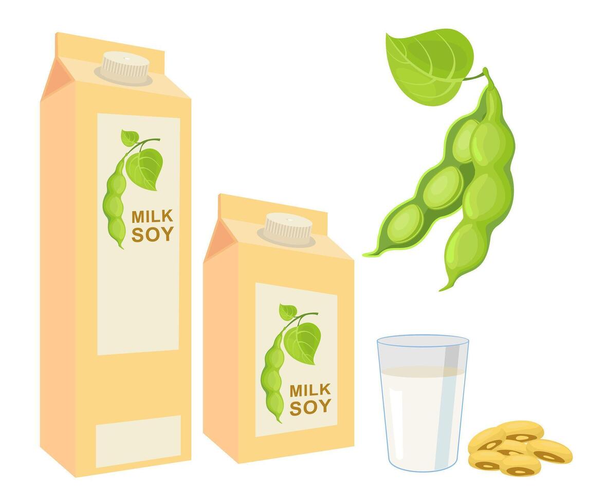 Soy milk package, soybeans and soy milk in glass. Soybean vector