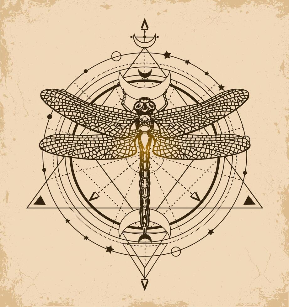 Sacred geometric pattern and hand drawn dragonfly. Black dragonfly. Mystical symbols and insects sketch. Alchemy, astrology, religion, occultism, spirituality vector