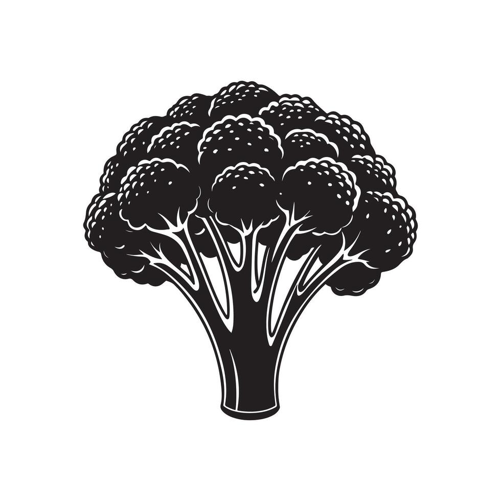 A bold, vintage-style illustration of a broccoli head. vector