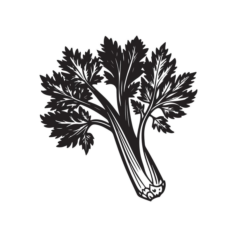 Elegant Black and White Illustration of Celery Stalks vector