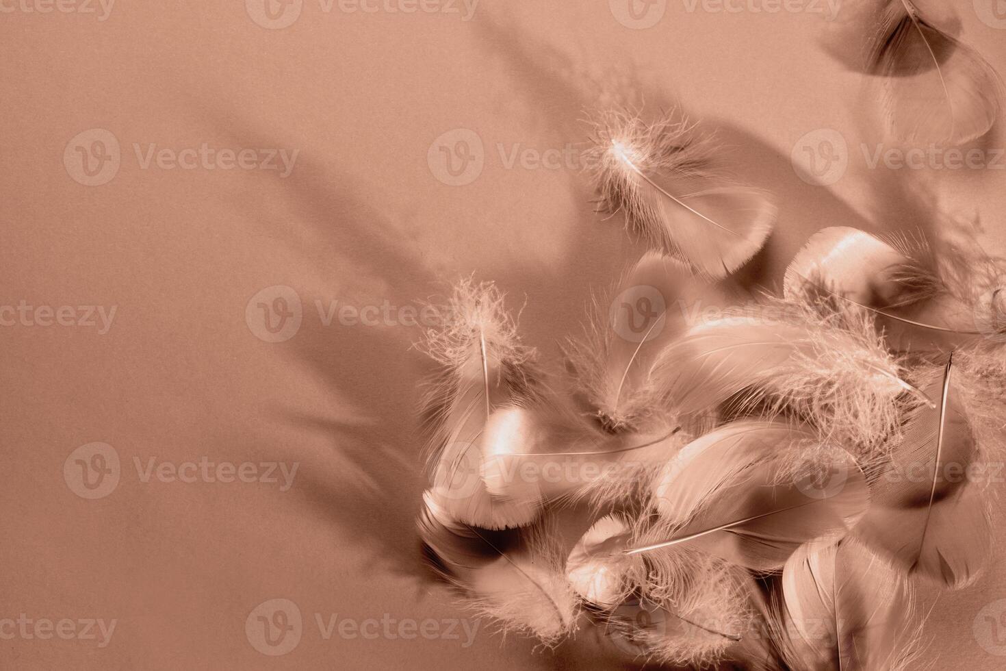 Abstract background with soft mocha mousse feathers and shadows photo